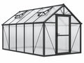 Serre de jardin 244 x 190 x 195 cm en aluminium noir et polycarbonate avec porte et lucarnes